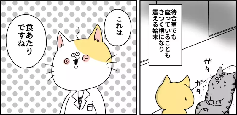 激しい便意で歩けない…駆け込んだ病院での診断は？  パニック障害がわかるまで【パニックにゃんこ Vol.4】