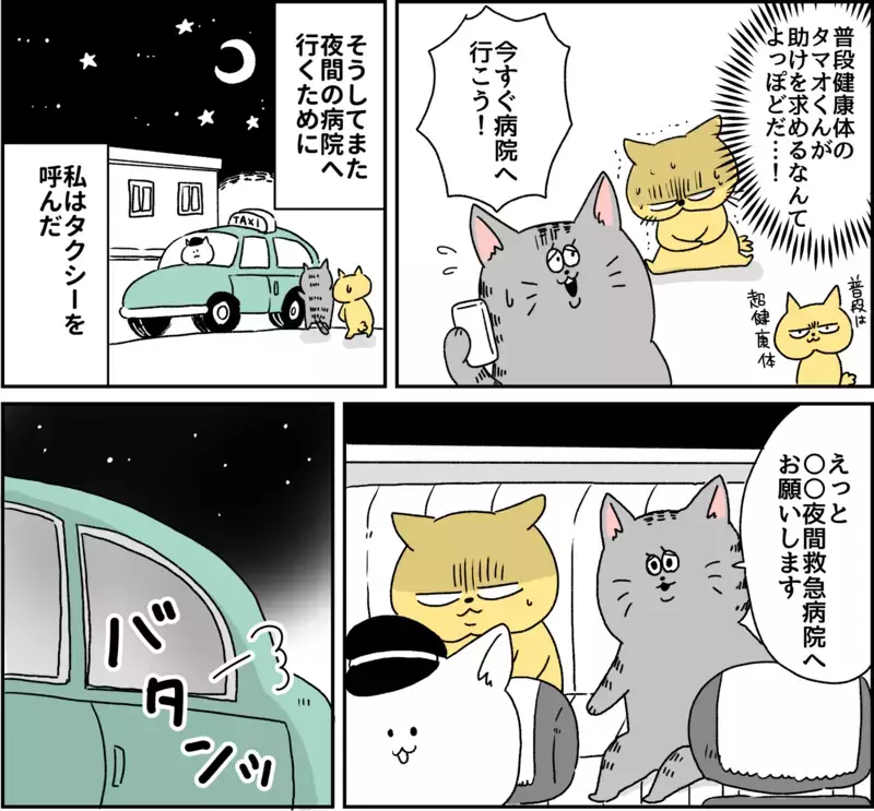 手足がガタガタ震え出す…この症状はいったい何なの？  パニック障害がわかるまで【パニックにゃんこ Vol.5】