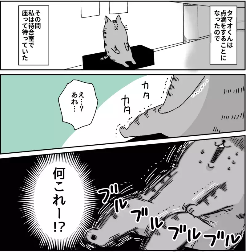 手足がガタガタ震え出す…この症状はいったい何なの？  パニック障害がわかるまで【パニックにゃんこ Vol.5】