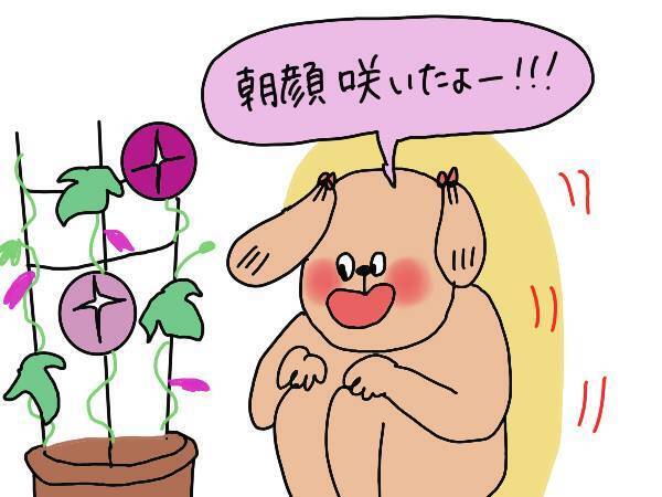 おうちでできる簡単な実験あそび！ 朝顔の色水作りの楽しみかた【コソダテフルな毎日 第171話】