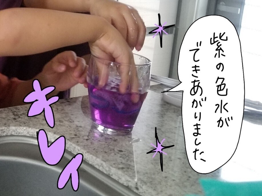 おうちでできる簡単な実験あそび！ 朝顔の色水作りの楽しみかた【コソダテフルな毎日 第171話】