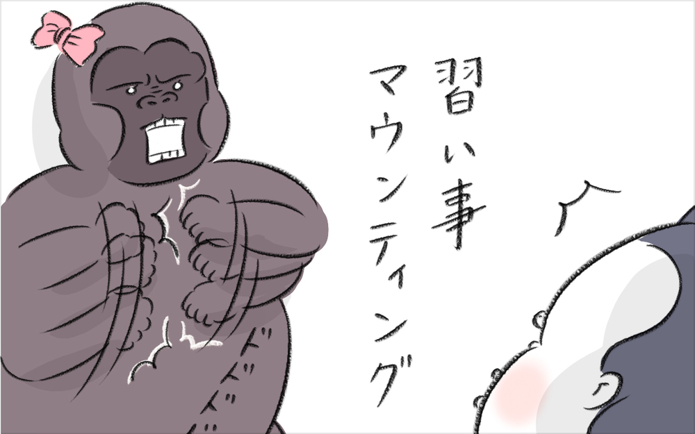 ママ友の「習い事マウンティング」にモヤッ！　我が家の場合は…【今日もどすこい母さん Vol.20】