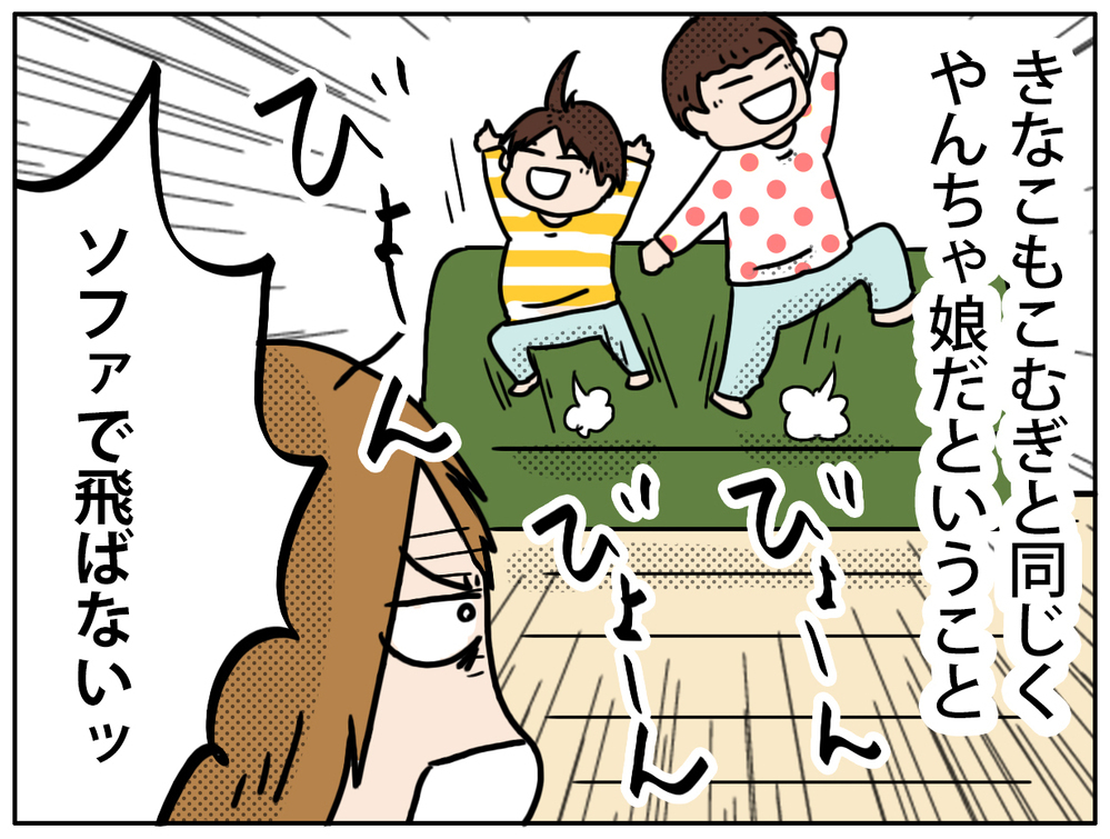 きなこ1歳半　お姉ちゃんと同じくらいやんちゃです！【こむぎときなこ Vol.21】