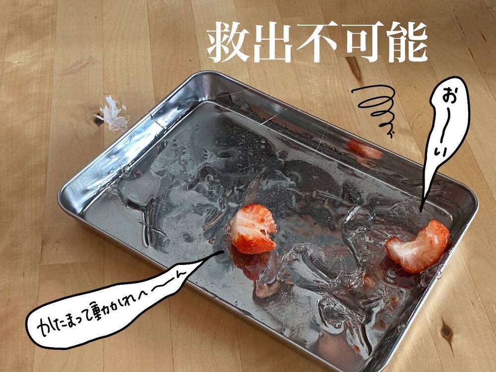 流行りのフルーツ飴作りでまさかの大失敗～！上手に作る3つのポイントは？【コソダテフルな毎日 第173話】