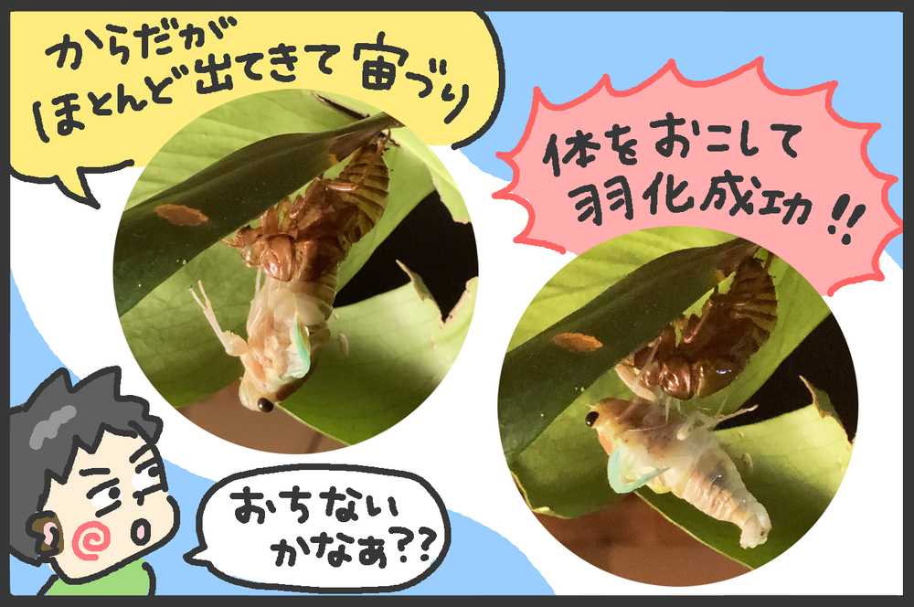 あつ～い夏を全力で楽しむ！「夜の虫とり」は貴重な体験！【メンズかーちゃん～うちのやんちゃで愛おしいおさるさんの物語～ 第90回】