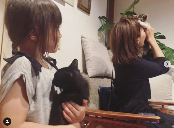 坂本美雨さんと楽しく動物愛護を学ぶ、初オンライン開催の「いぬねこなかまフェス」