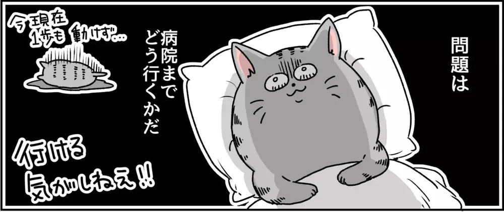 怖い…ここは魔の森…？ 私の世界は変わってしまった/パニック障害がわかるまで【パニックにゃんこ Vol.8】