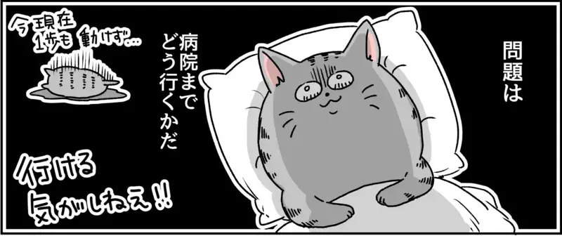怖い…ここは魔の森…？ 私の世界は変わってしまった/パニック障害がわかるまで【パニックにゃんこ Vol.8】