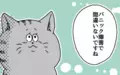 自分がこころの病気になるなんて…ついに診断名がついた日のこと/パニック障害がわかるまで【パニックにゃんこ Vol.9】