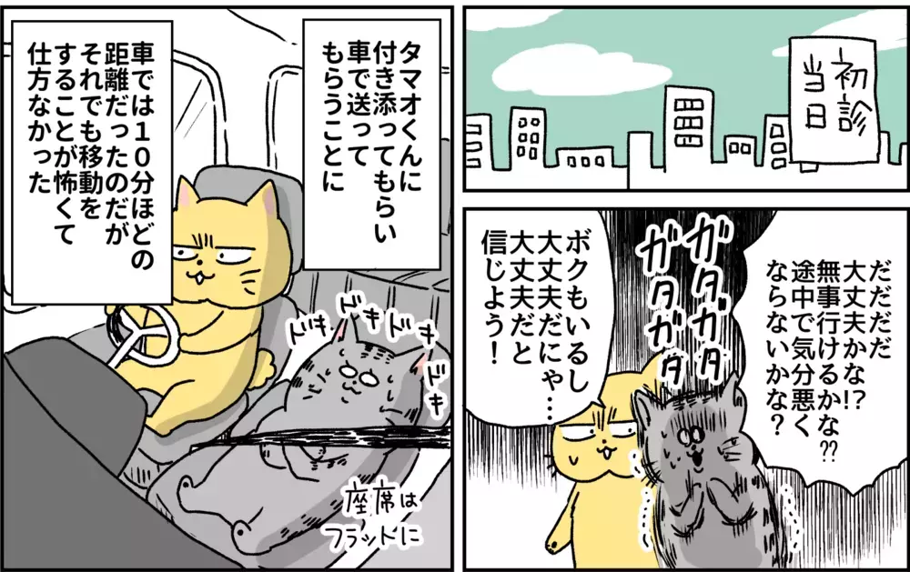 自分がこころの病気になるなんて…ついに診断名がついた日のこと/パニック障害がわかるまで【パニックにゃんこ Vol.9】