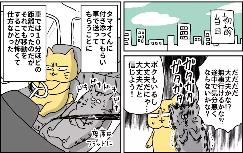 自分がこころの病気になるなんて…ついに診断名がついた日のこと/パニック障害がわかるまで【パニックにゃんこ Vol.9】