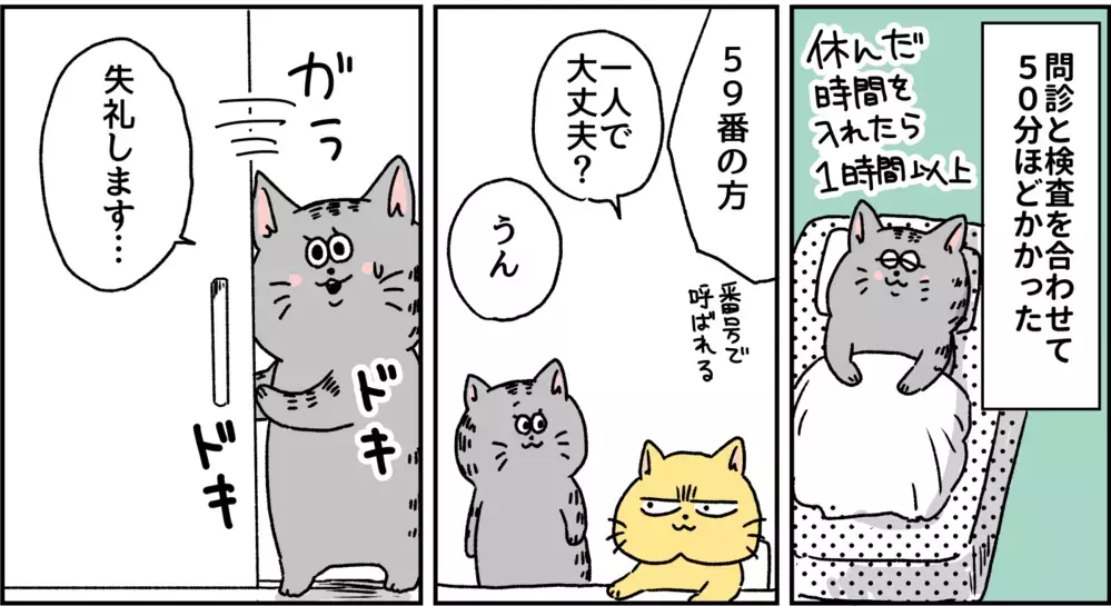 自分がこころの病気になるなんて…ついに診断名がついた日のこと/パニック障害がわかるまで【パニックにゃんこ Vol.9】