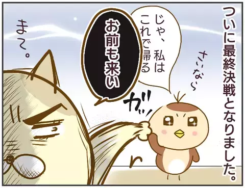 浮気相手の脅しには屈しない！ いよいよ浮気相手との最終決戦へ…【突撃！浮気捜査官 Vol.22】