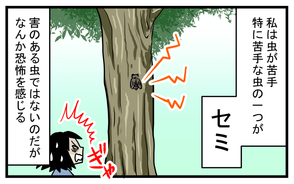 セミが苦手だった私…息子から羽化したばかりのセミを見せられて!?【こどもと見つけた小さな発見日誌 Vol.29】