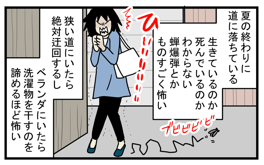 セミが苦手だった私…息子から羽化したばかりのセミを見せられて!?【こどもと見つけた小さな発見日誌 Vol.29】