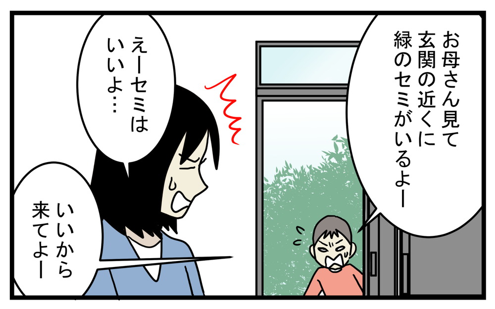 セミが苦手だった私…息子から羽化したばかりのセミを見せられて!?【こどもと見つけた小さな発見日誌 Vol.29】