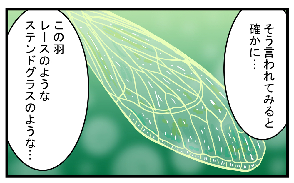 セミが苦手だった私…息子から羽化したばかりのセミを見せられて!?【こどもと見つけた小さな発見日誌 Vol.29】