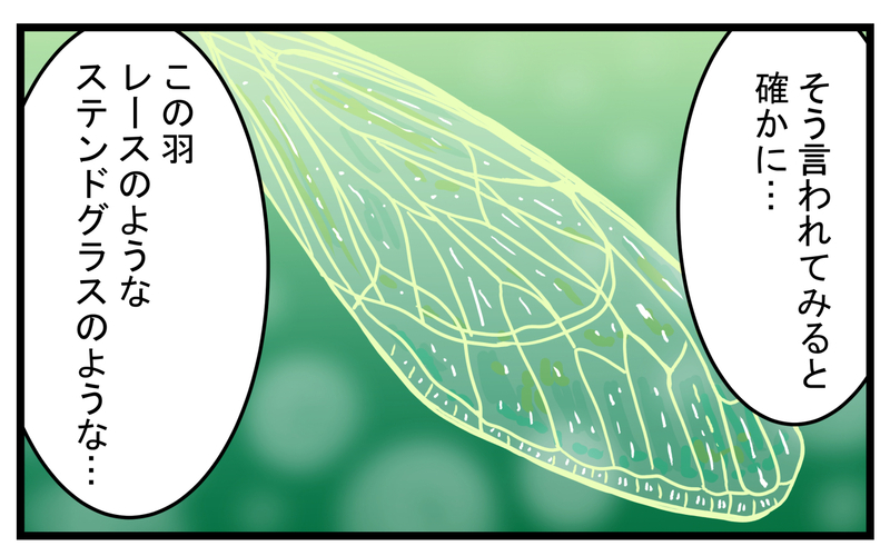 セミが苦手だった私…息子から羽化したばかりのセミを見せられて!?【こどもと見つけた小さな発見日誌 Vol.29】