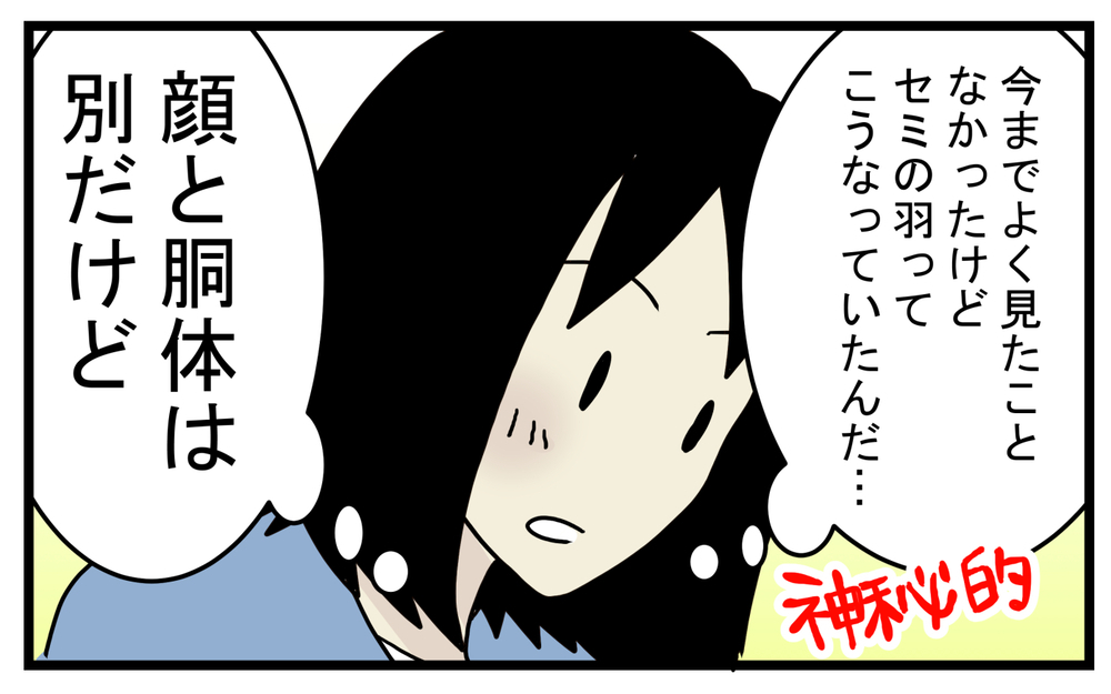 セミが苦手だった私…息子から羽化したばかりのセミを見せられて!?【こどもと見つけた小さな発見日誌 Vol.29】