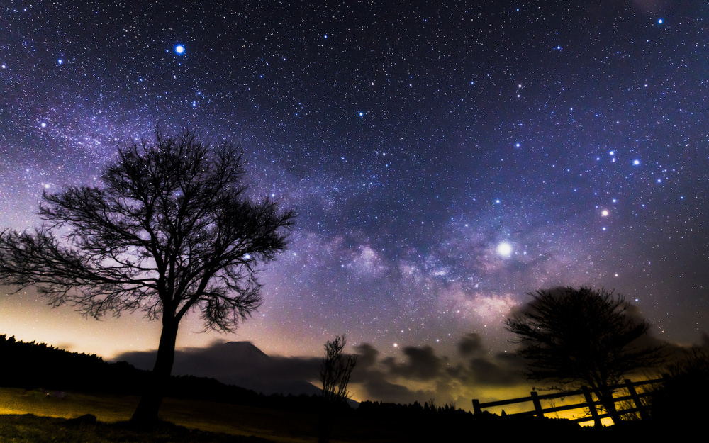 10月19日～10月25日の週間運勢占いランキング！　1位の星座は…？