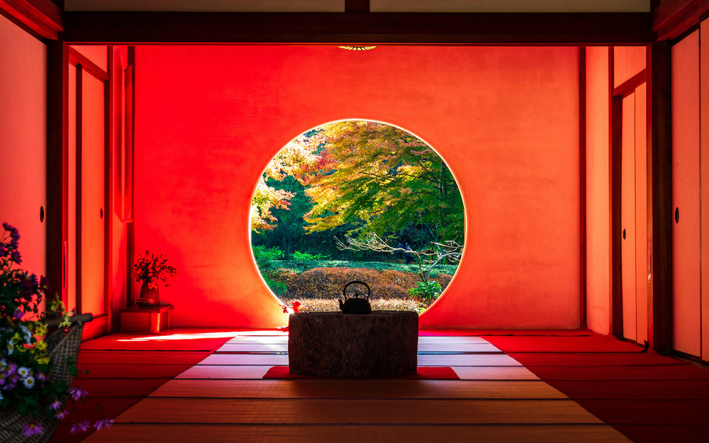 11月2日～11月8日の週間運勢占いランキング！　1位の星座は…？