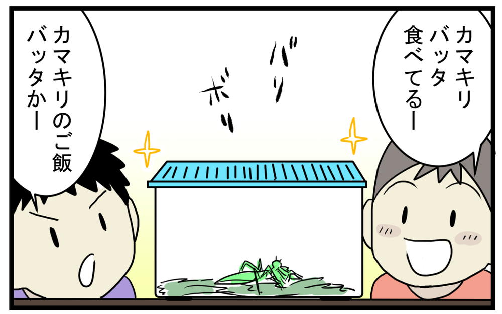 大人から見ると少し残酷!? 幼稚園児の好奇心をくすぐる「カマキリのエサやり」【こどもと見つけた小さな発見日誌 Vol.30】