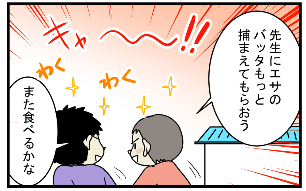大人から見ると少し残酷!? 幼稚園児の好奇心をくすぐる「カマキリのエサやり」【こどもと見つけた小さな発見日誌 Vol.30】