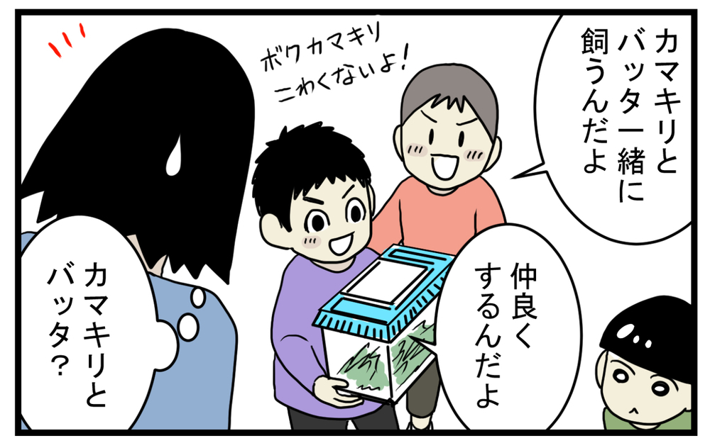 大人から見ると少し残酷!? 幼稚園児の好奇心をくすぐる「カマキリのエサやり」【こどもと見つけた小さな発見日誌 Vol.30】