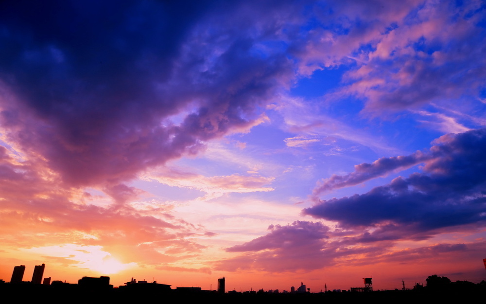 11月23日～11月29日の週間運勢占いランキング！　1位の星座は…？