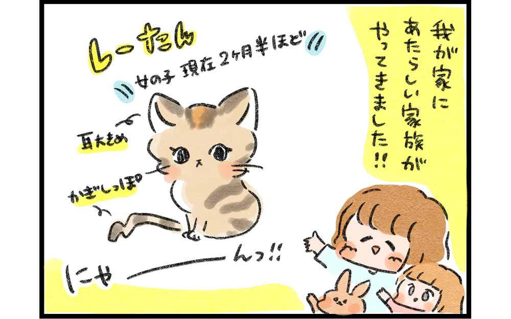 わが家に新しい家族がやってきた！ 「ウサギと子猫の関係」にドキドキだったが…!?【ズボラ母のゆるゆる育児 第51話】