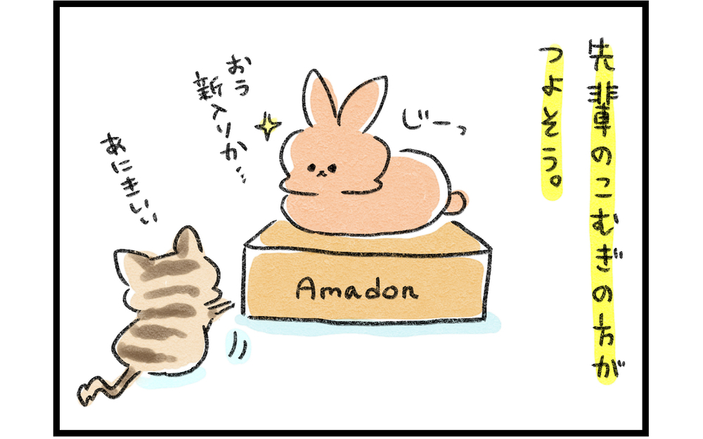 わが家に新しい家族がやってきた！ 「ウサギと子猫の関係」にドキドキだったが…!?【ズボラ母のゆるゆる育児 第51話】