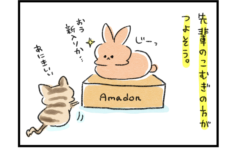 わが家に新しい家族がやってきた！ 「ウサギと子猫の関係」にドキドキだったが…!?【ズボラ母のゆるゆる育児 第51話】
