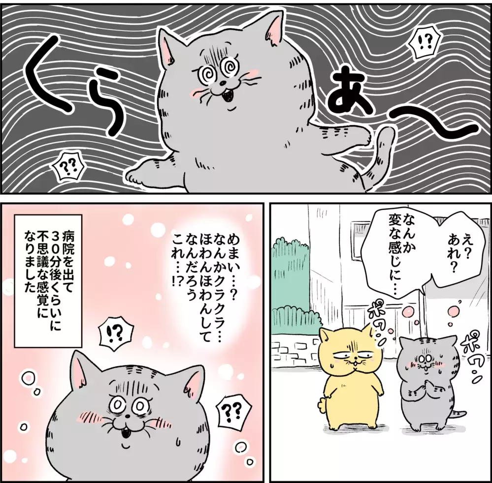 発作は妖怪に血を吸われているような感覚…/パニック障害との闘い【パニックにゃんこ Vol.10】