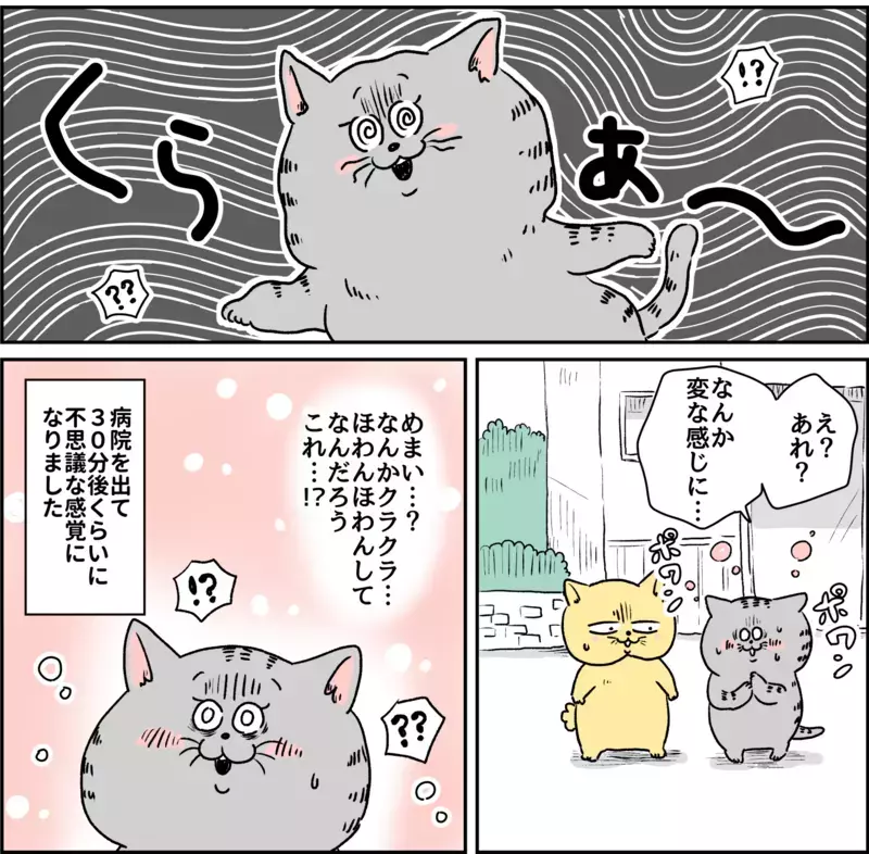 発作は妖怪に血を吸われているような感覚…/パニック障害との闘い【パニックにゃんこ Vol.10】