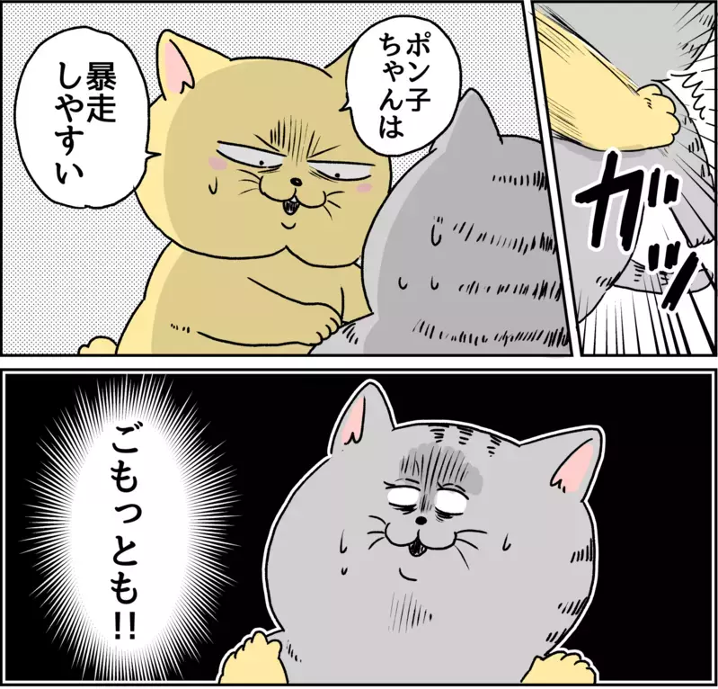 パニック障害になった原因を考えてみたけれど…/パニック障害との闘い【パニックにゃんこ Vol.11】