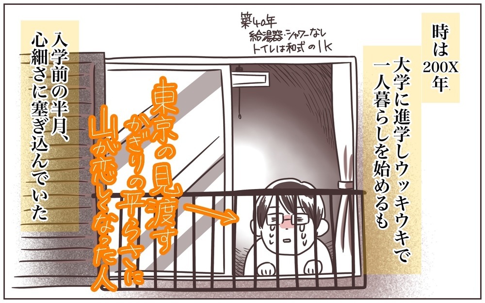 ホームシックな私が衝動のままに突き進んだ末に見せた“黒歴史な姿”【おててつないで 〜なかよし兄妹の癒され日記〜 第71話】