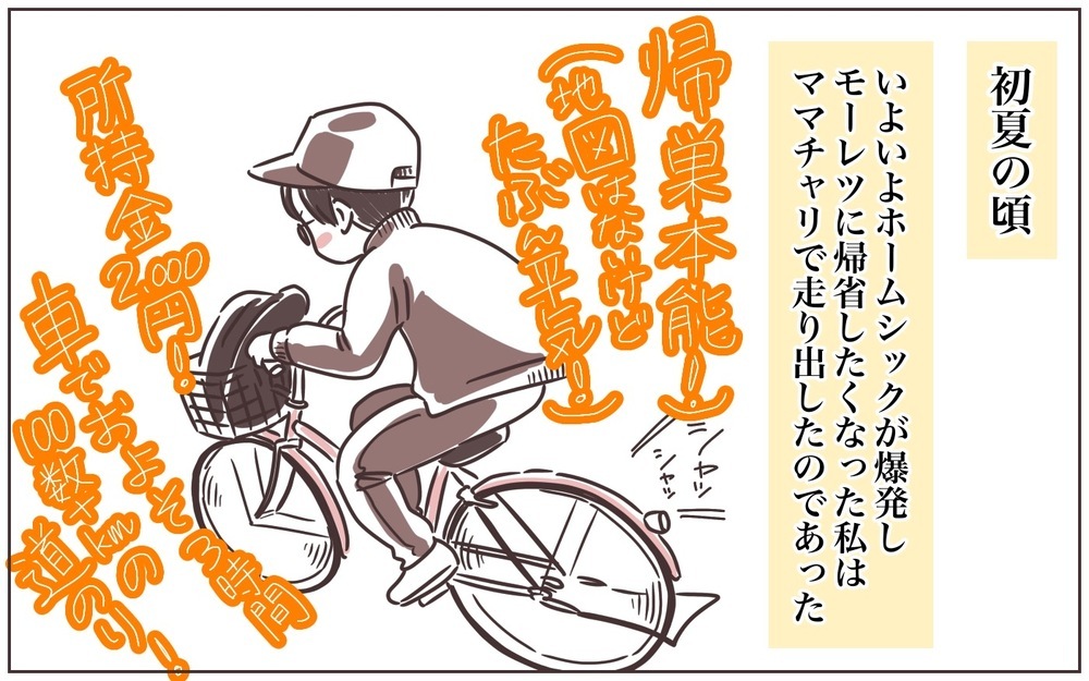 ホームシックな私が衝動のままに突き進んだ末に見せた“黒歴史な姿”【おててつないで 〜なかよし兄妹の癒され日記〜 第71話】