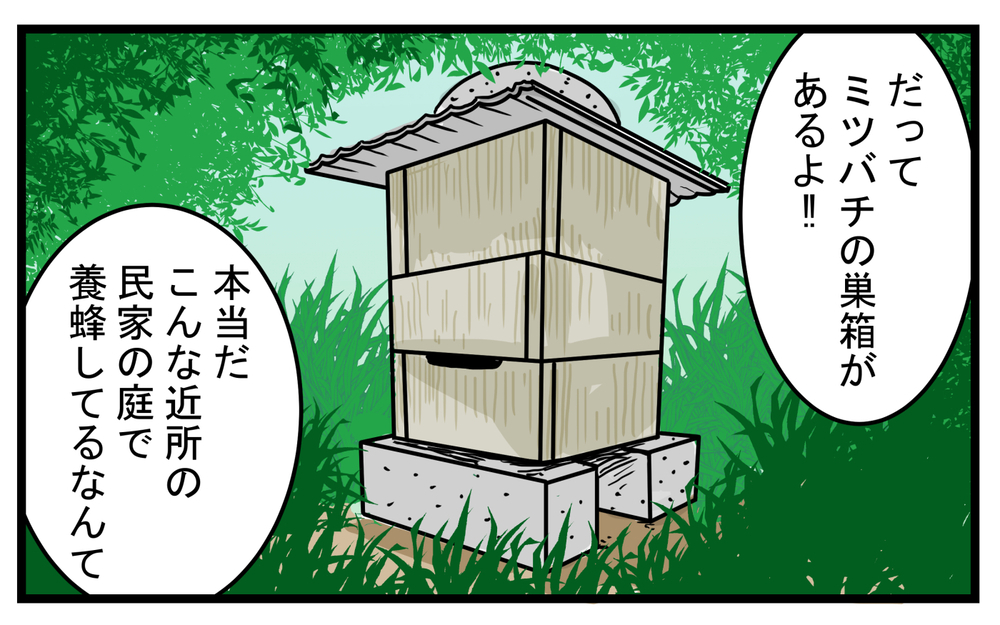長男が大興奮した…！ 意外と身近な「養蜂」の話【こどもと見つけた小さな発見日誌 Vol.31】