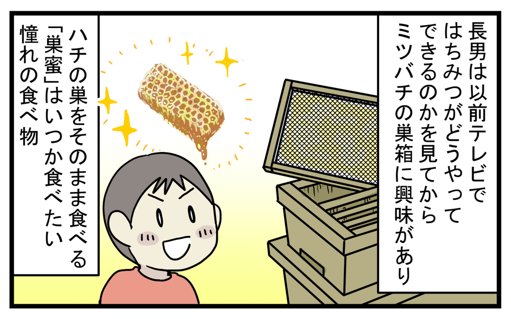 長男が大興奮した…！ 意外と身近な「養蜂」の話【こどもと見つけた小さな発見日誌 Vol.31】