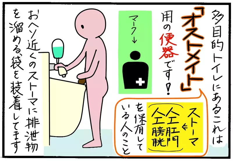 多目的トイレの洗面台のようなアレって何？ 正しく知って本当に必要な人が使える配慮を！