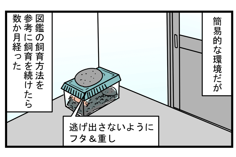 ミステリー!? 水槽に突然現れた「2匹目のカニ」の正体【こどもと見つけた小さな発見日誌 Vol.32】
