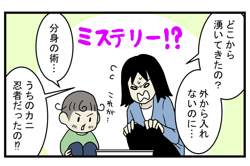 ミステリー!? 水槽に突然現れた「2匹目のカニ」の正体【こどもと見つけた小さな発見日誌 Vol.32】