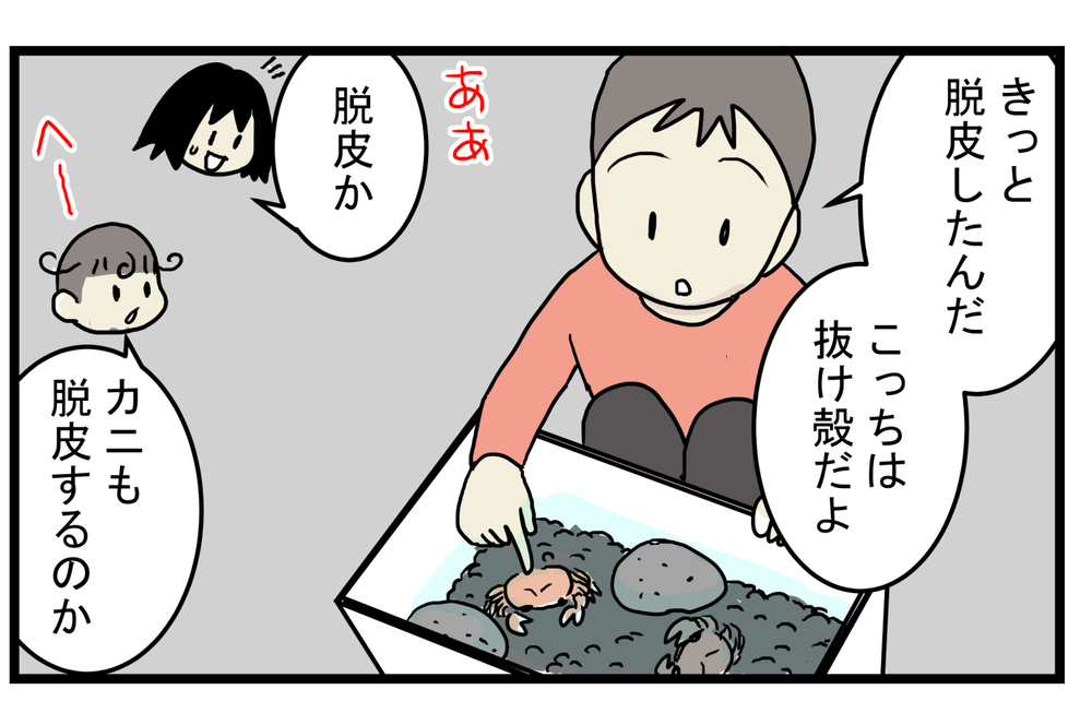 ミステリー!? 水槽に突然現れた「2匹目のカニ」の正体【こどもと見つけた小さな発見日誌 Vol.32】