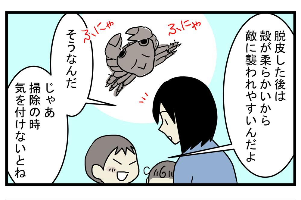 ミステリー!? 水槽に突然現れた「2匹目のカニ」の正体【こどもと見つけた小さな発見日誌 Vol.32】