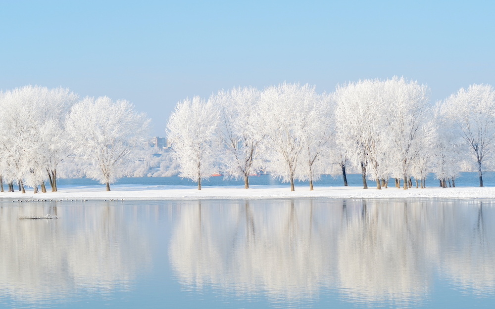 1月4日～1月10日の週間運勢占いランキング！　1位の星座は…？