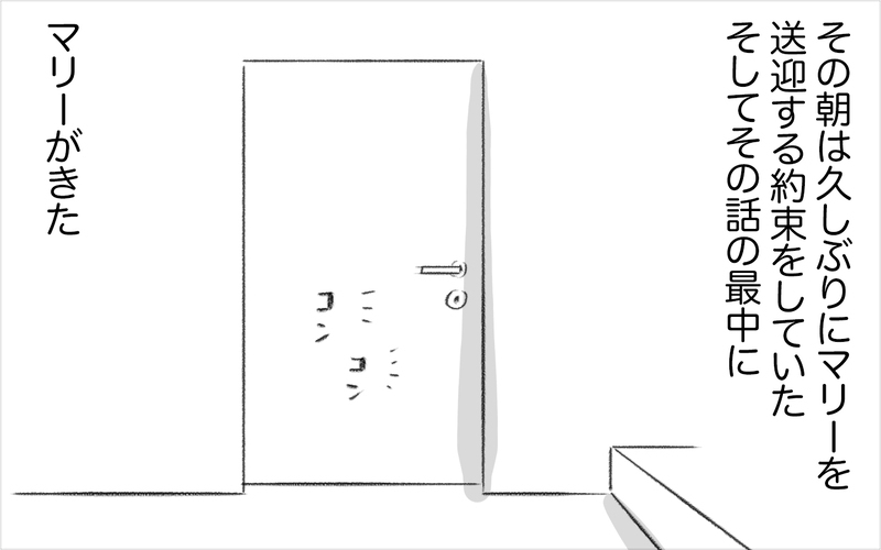激しくなるマリーの乱暴さ…、これ以上どう対策をすればいいの？【娘が夜驚症になった話 Vol.10】