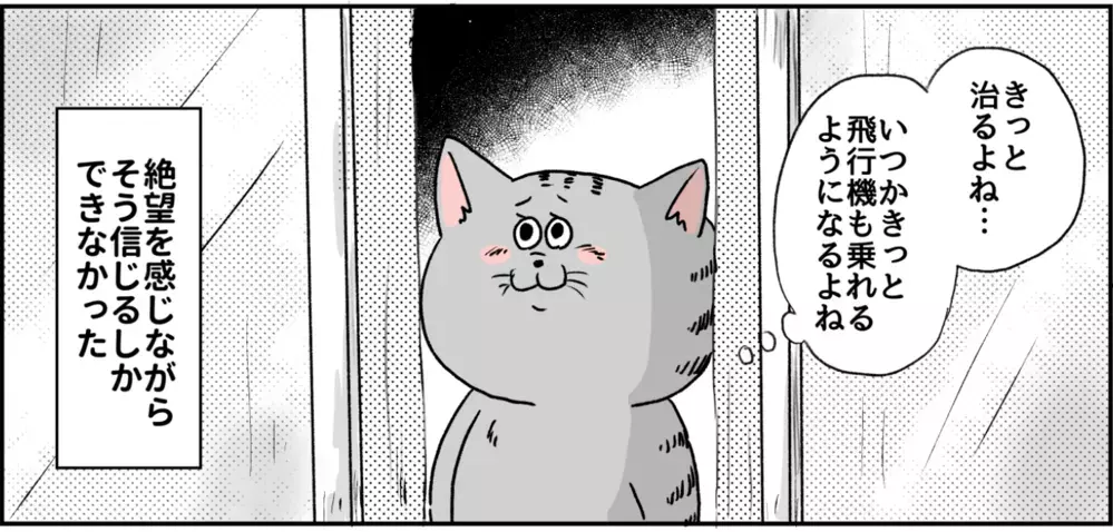 精神的に弱いかどうかは関係ない…！ /パニック障害で誤解していたこと【パニックにゃんこ Vol.13】