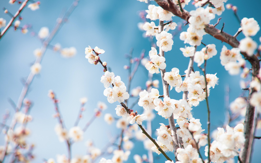 2月22日～2月28日の週間運勢占いランキング！　1位の星座は…？