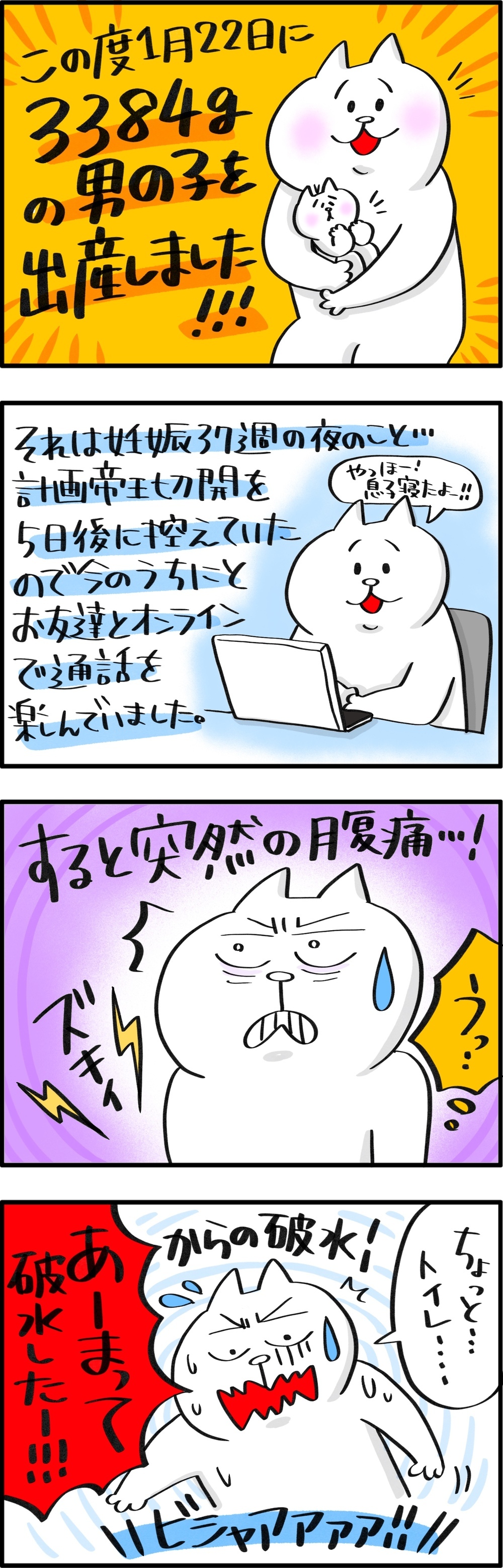 破水からの緊急帝王切開！　第二子出産レポ【PUKUTY(プクティ)只今育児奮闘中！ 第48話】