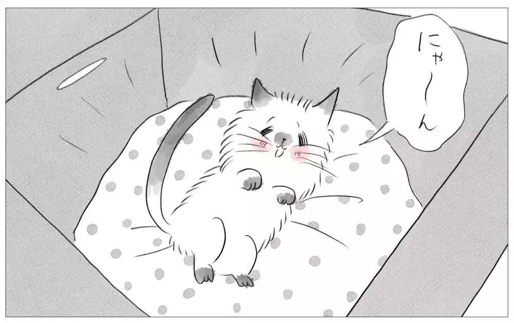 「あの子が結婚できて、なぜ自分はできない？」…友人のSNSに嫉妬してしまう【親に整形させられた私が、母になる Vol.52】